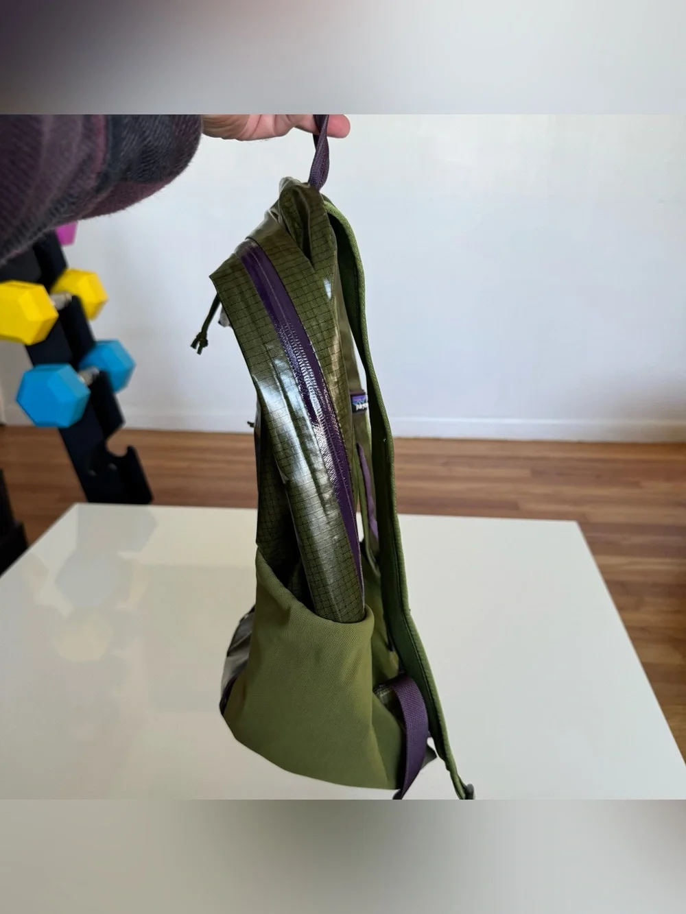 Patagonia Black Hole Pack 26L Backpack Bag Lightweight 49050 SPTG Green Purple